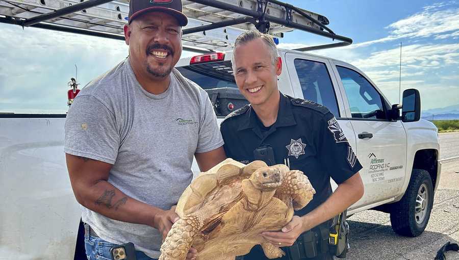 An unidentified driver and Arizona Department of Public Safety Sgt. Steven Sekrecki hold a rescued a sulcata tortoise that was attempting to cross Interstate 10 near Picacho, Ariz., on July 30, 2024. The motorist and Sekrecki managed to get the tortoise off the roadway unharmed. (Arizona Department of Public Safety via AP)